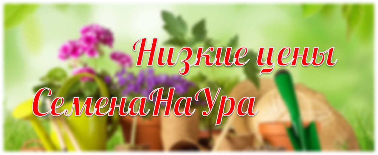 Главный баннер