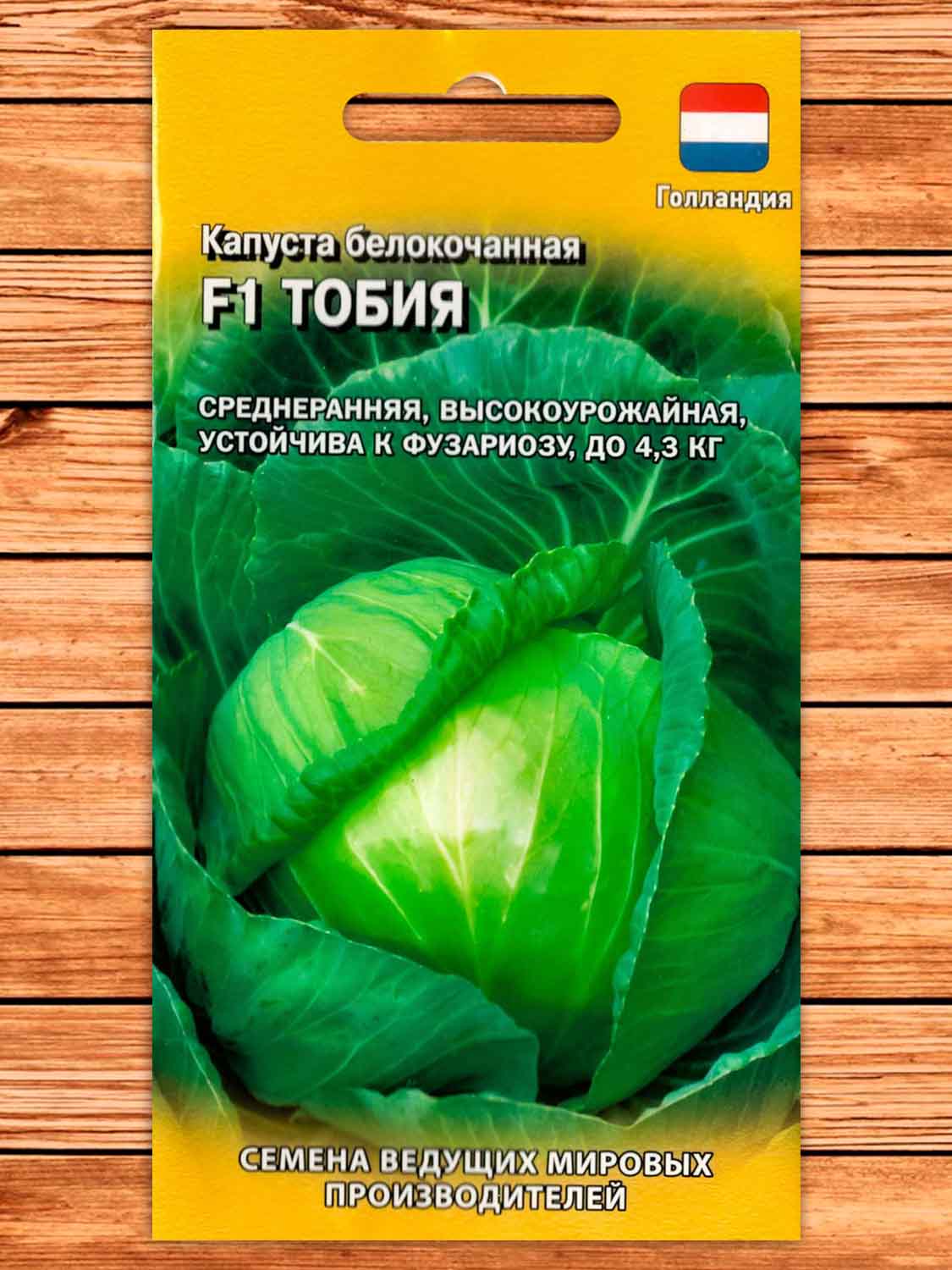 Капуста Тобия F1 10 шт. белокачанная для квашения  (Голландия)