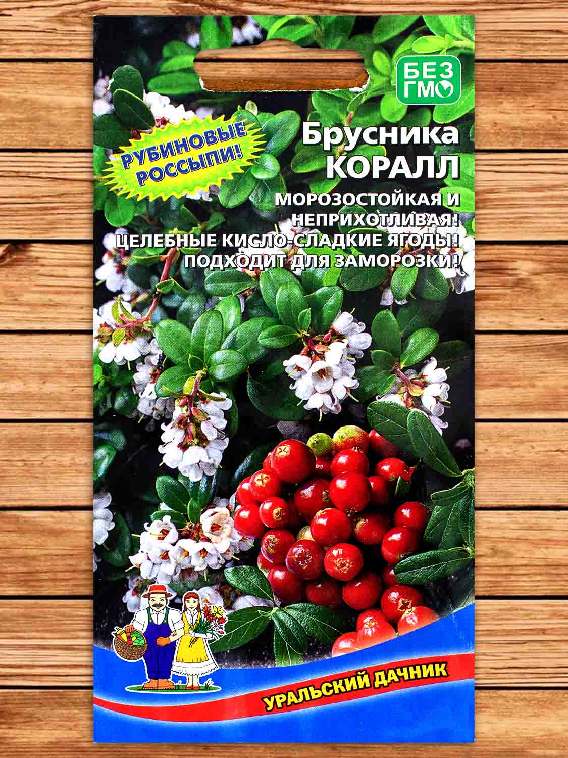 Брусника Коралл 20 шт.