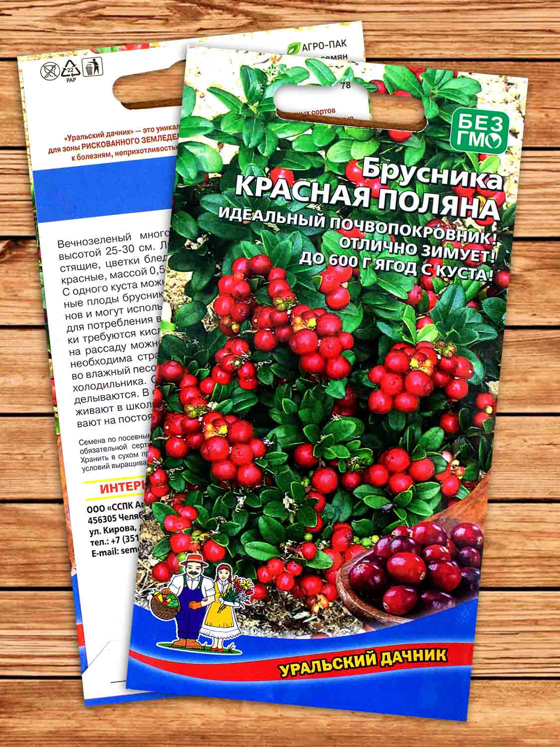 Брусника Красная Поляна 20 шт.
