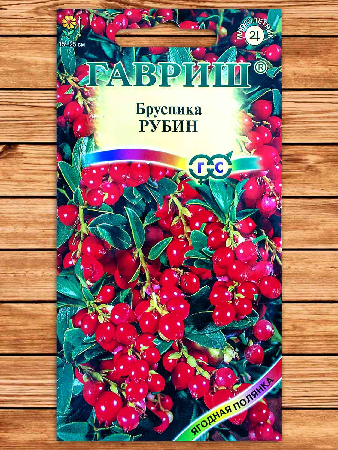 Брусника Рубин 20 шт.