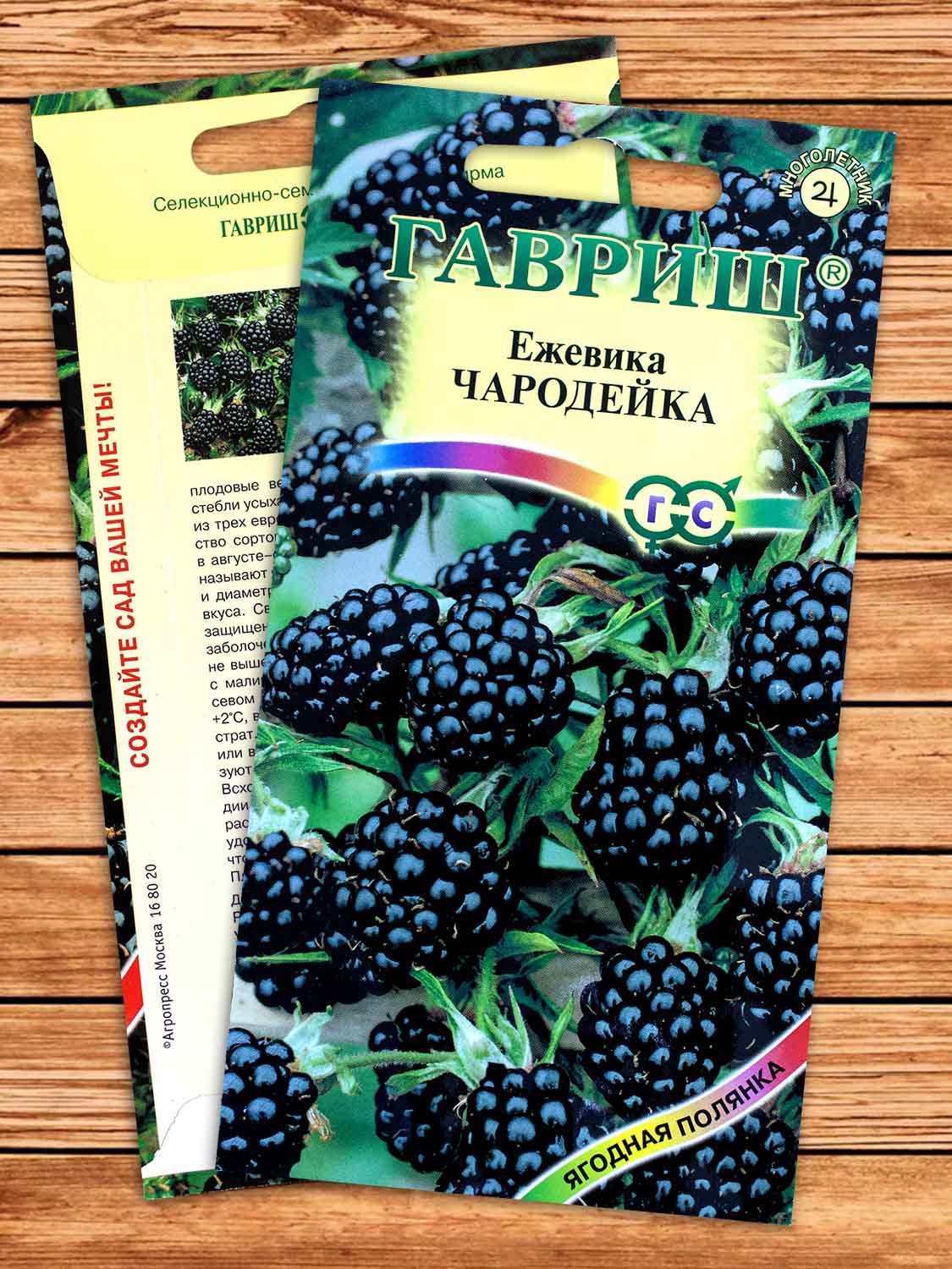 Ежевика Чародейка 10 шт.