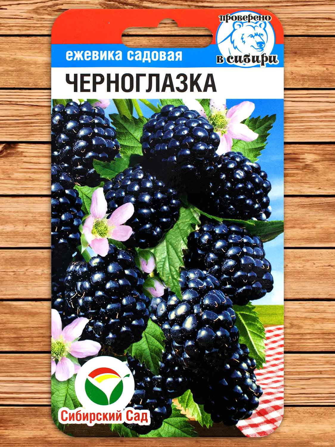 Ежевика Черноглазка 10 шт.