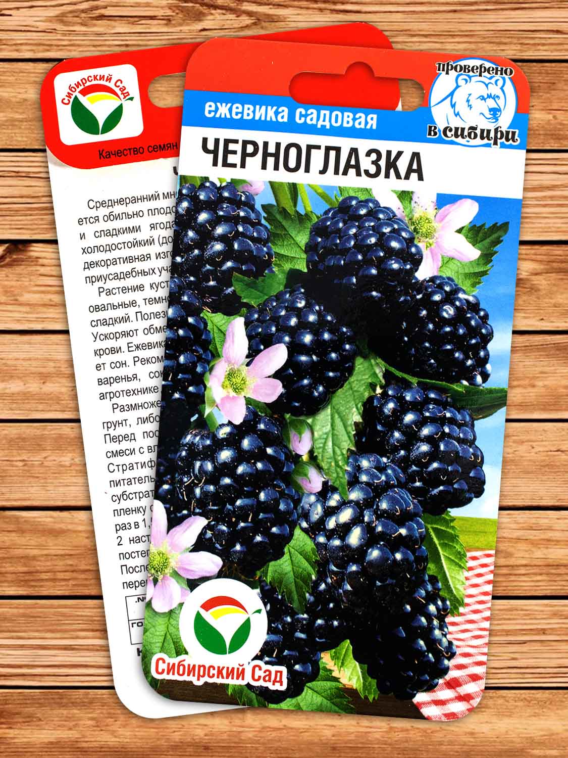 Ежевика Черноглазка 10 шт.