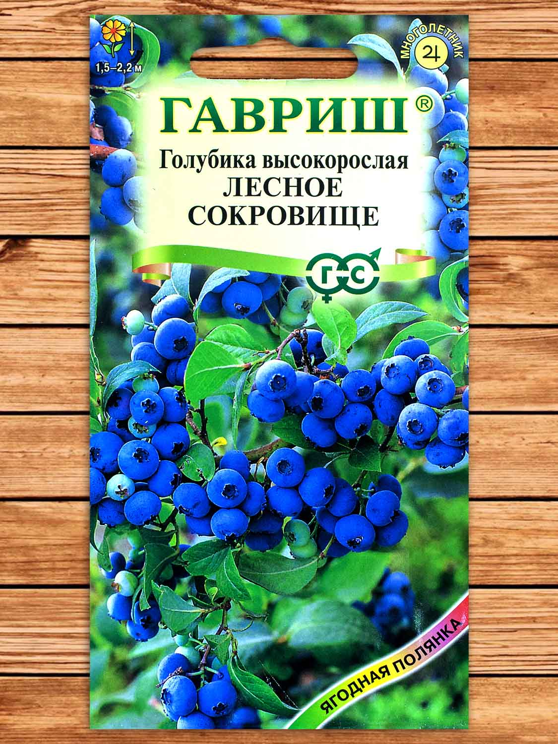 Голубика высокорослая Лесное Сокровище 30 шт.