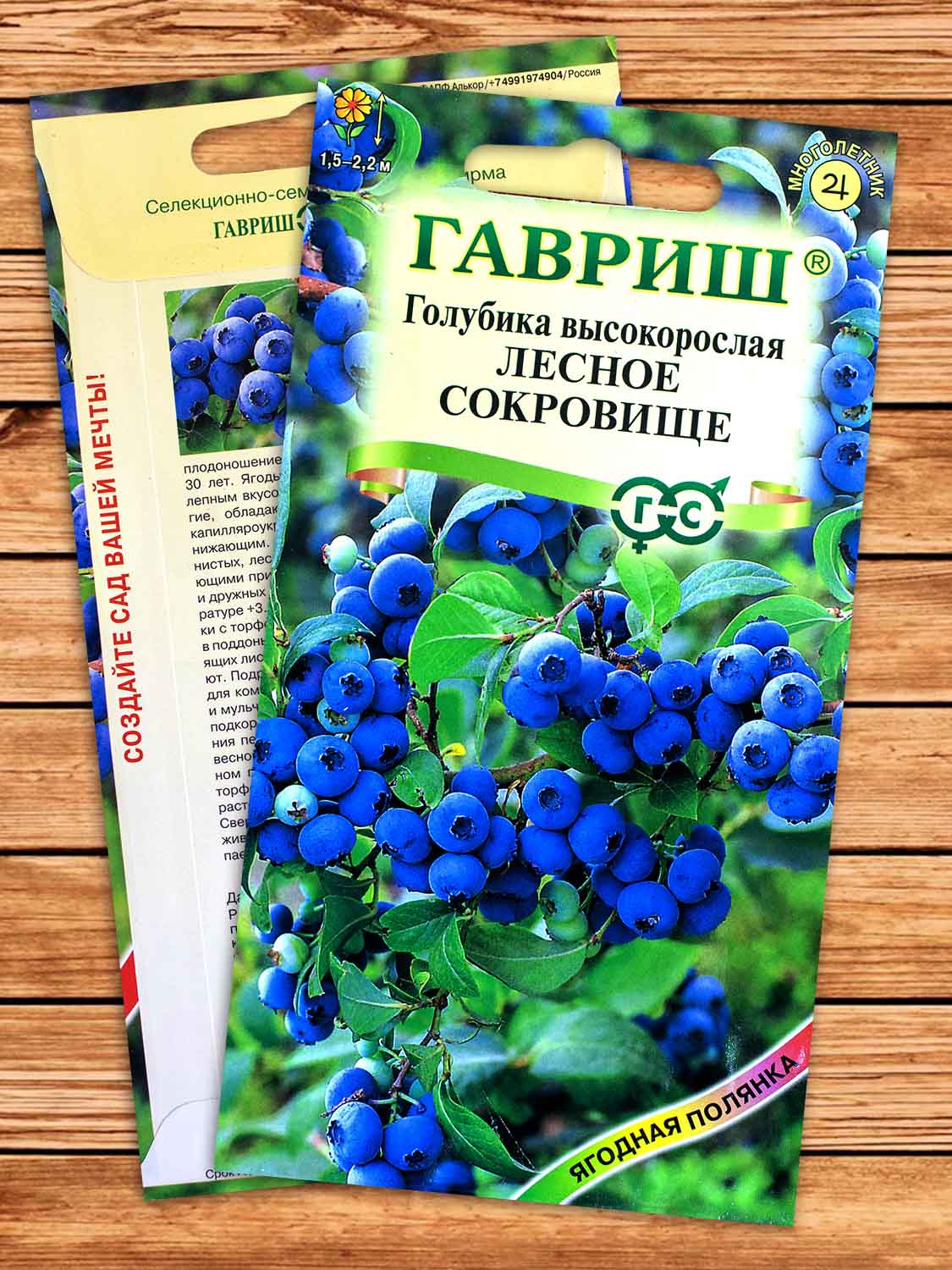 Голубика высокорослая Лесное Сокровище 30 шт.