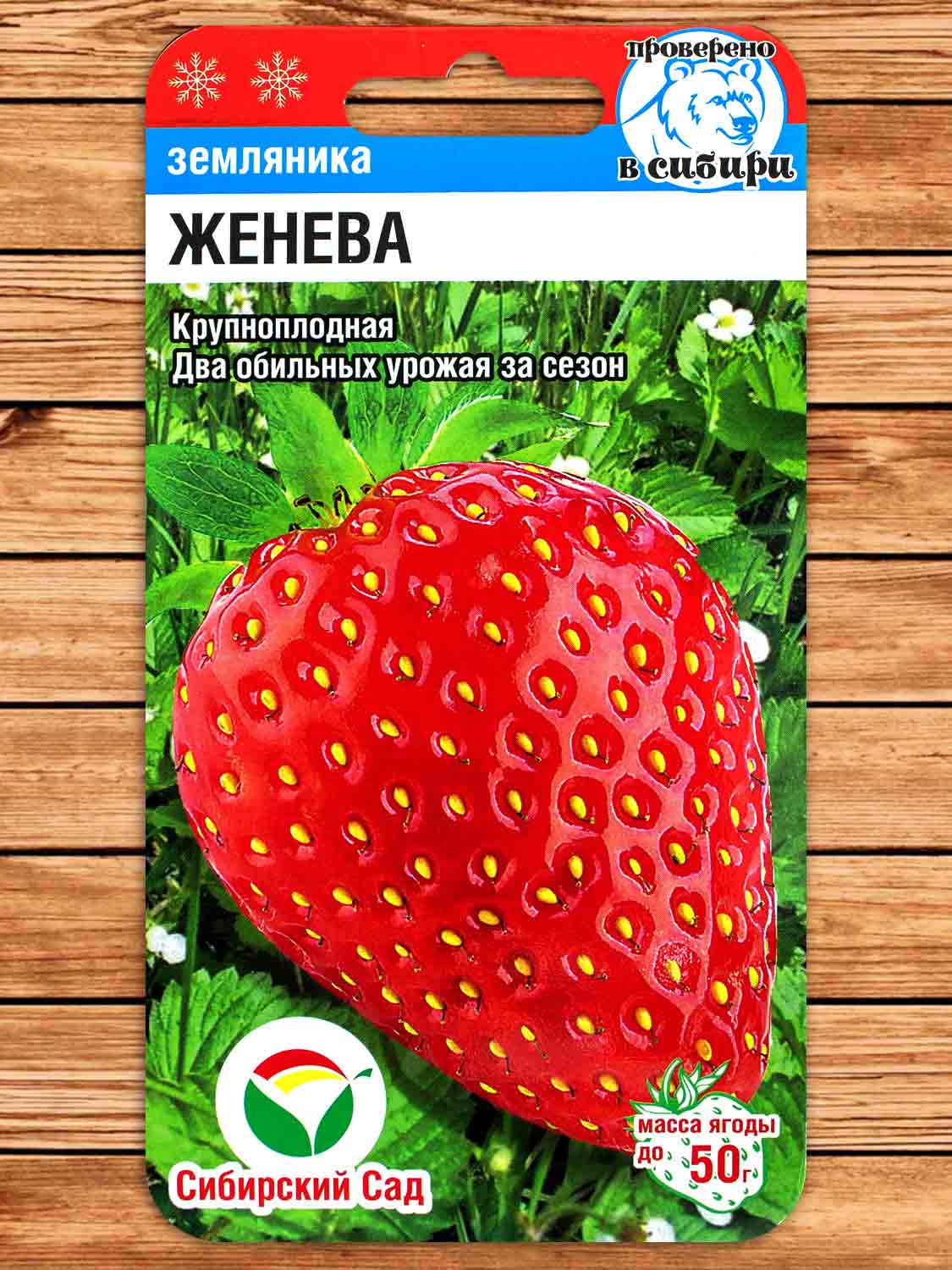 Земляника Женева 10 шт.