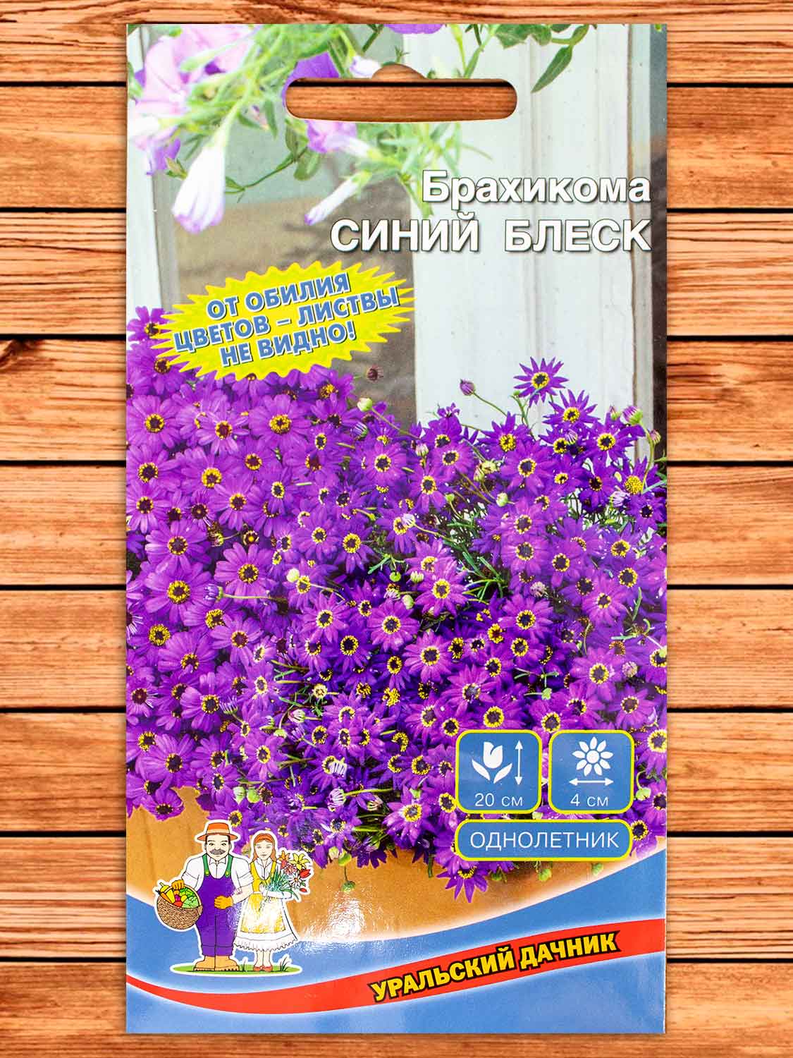 Брахикома Синий Блеск 0,05 гр.