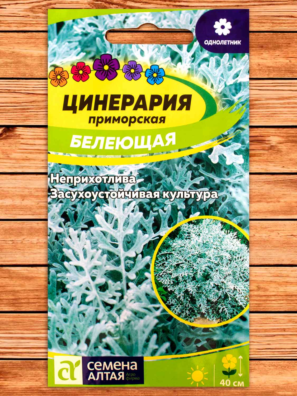 Цинерария Белеющая 0,1 гр.