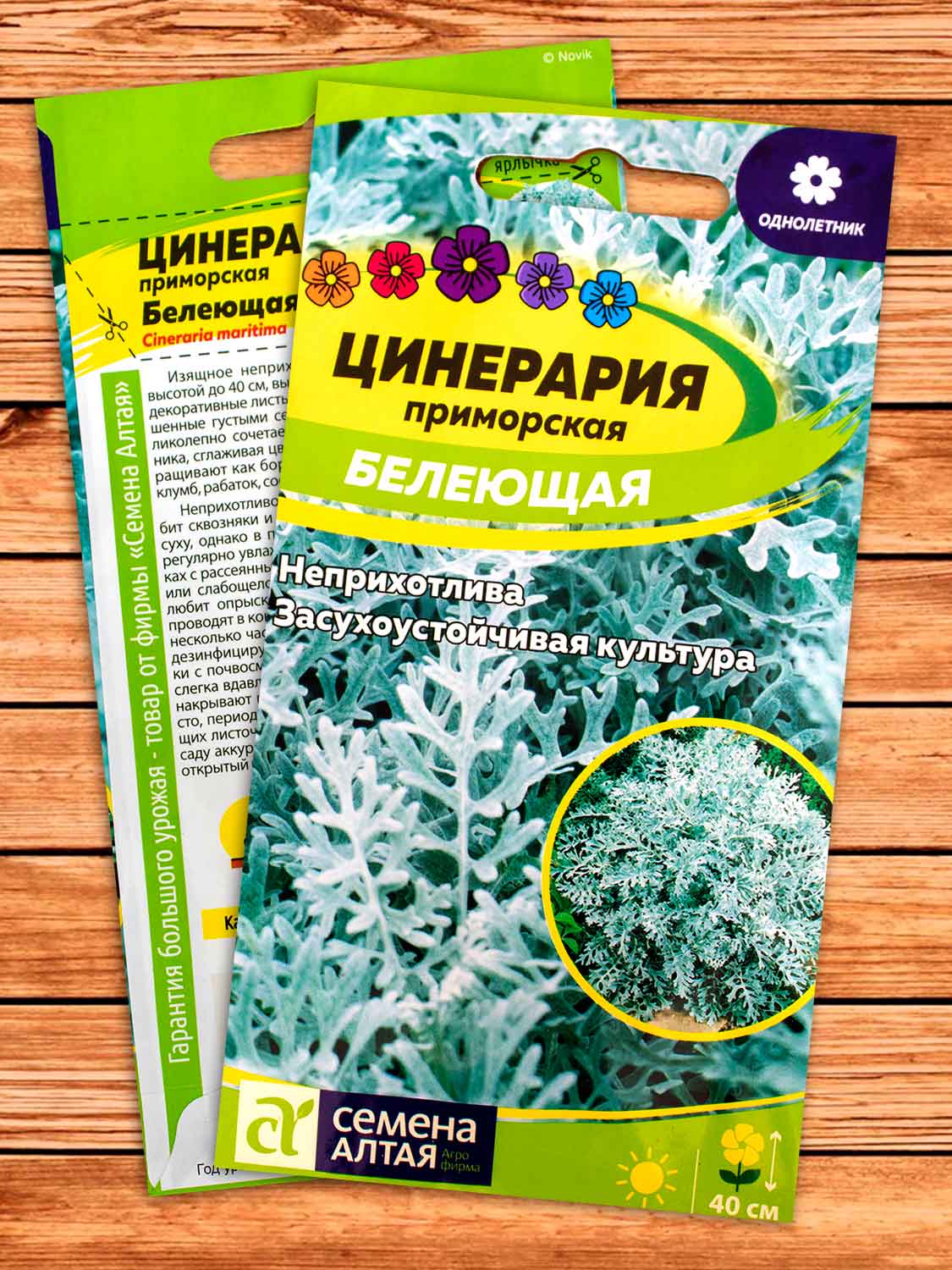 Цинерария Белеющая 0,1 гр.