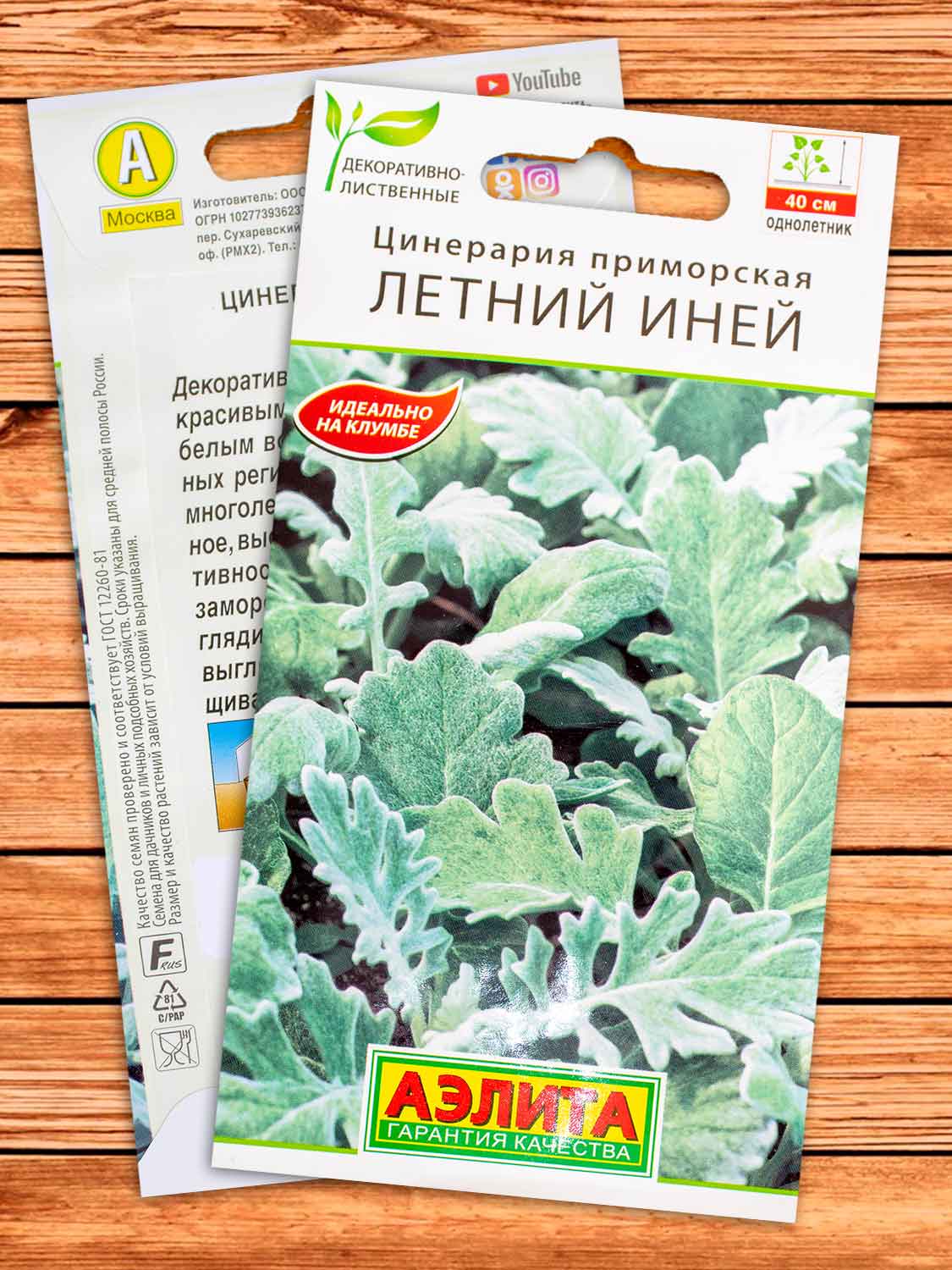 Цинерария Летний Иней 0,1 гр.