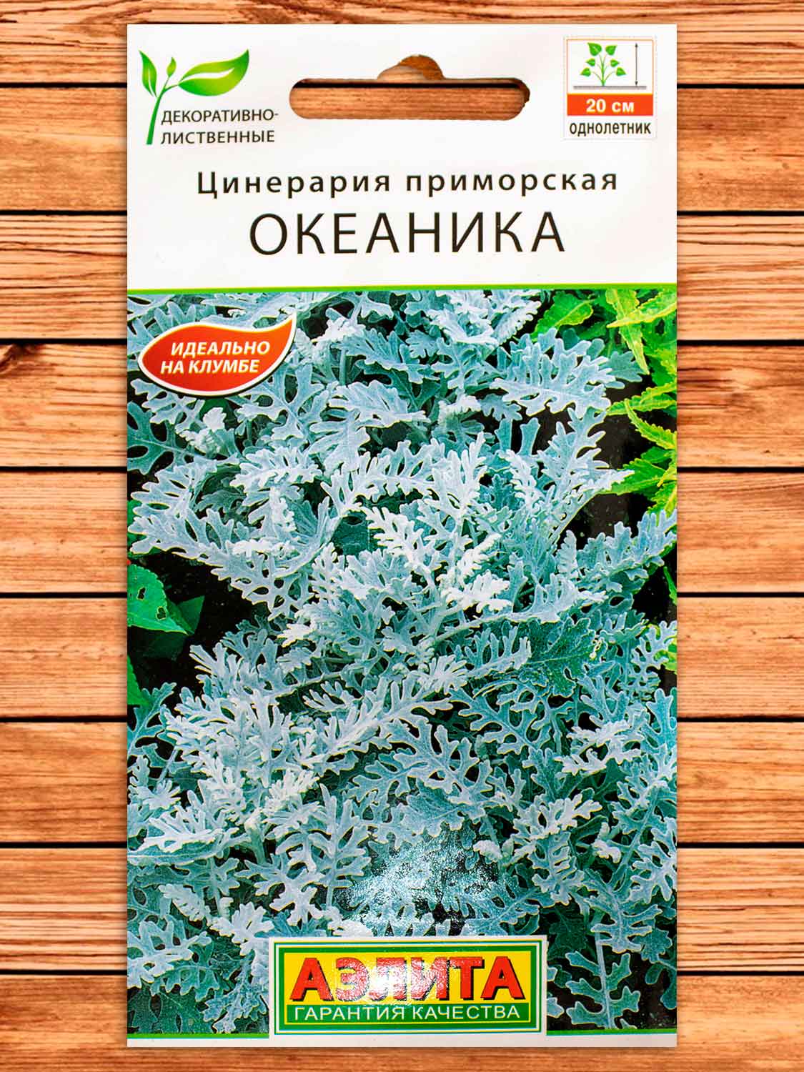 Цинерария Океаника 0,1 гр.