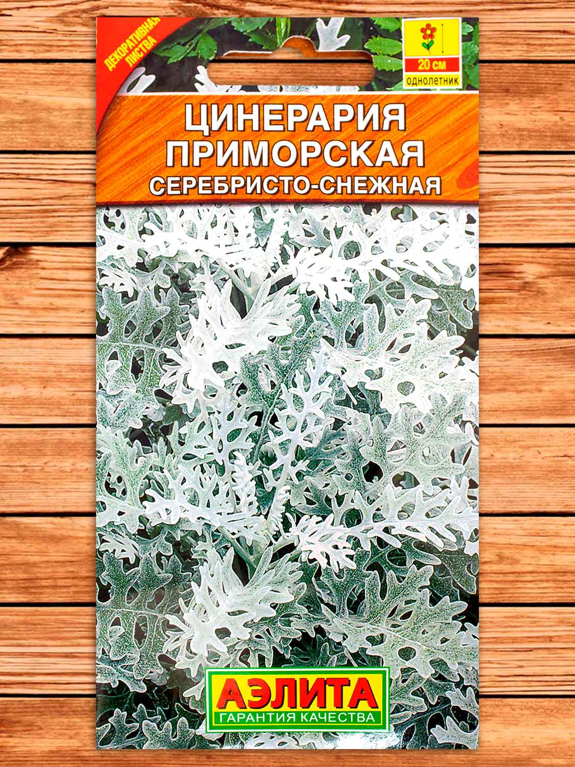 Цинерария Серебристо-Снежная приморская 0,1 гр.