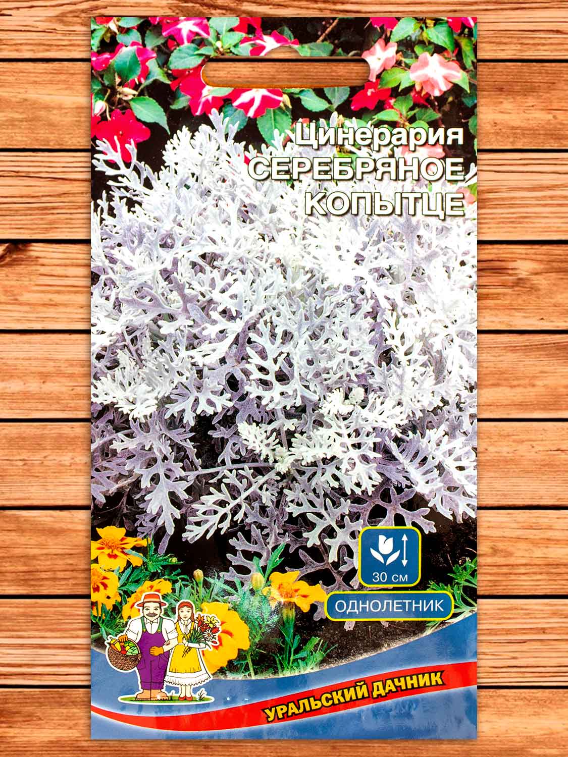 Цинерария Серебрянное Копытце 0,05 гр.