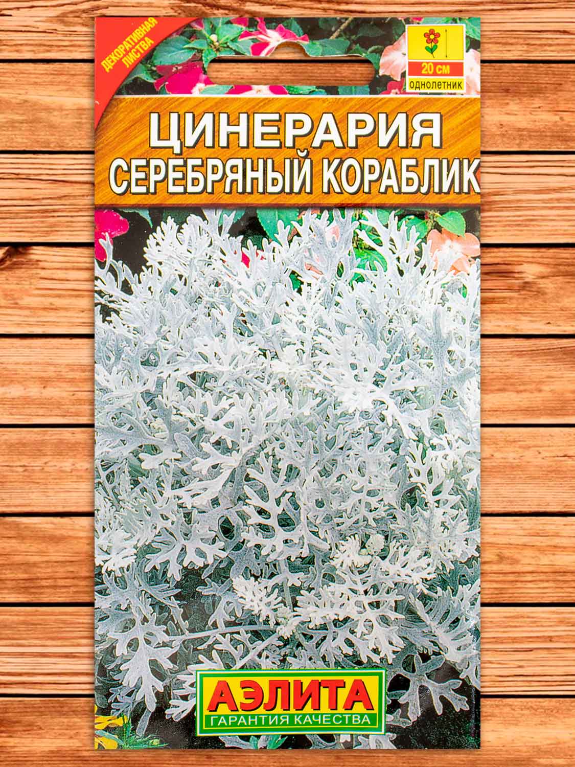 Цинерария Серебряный Кораблик 0,1 гр.