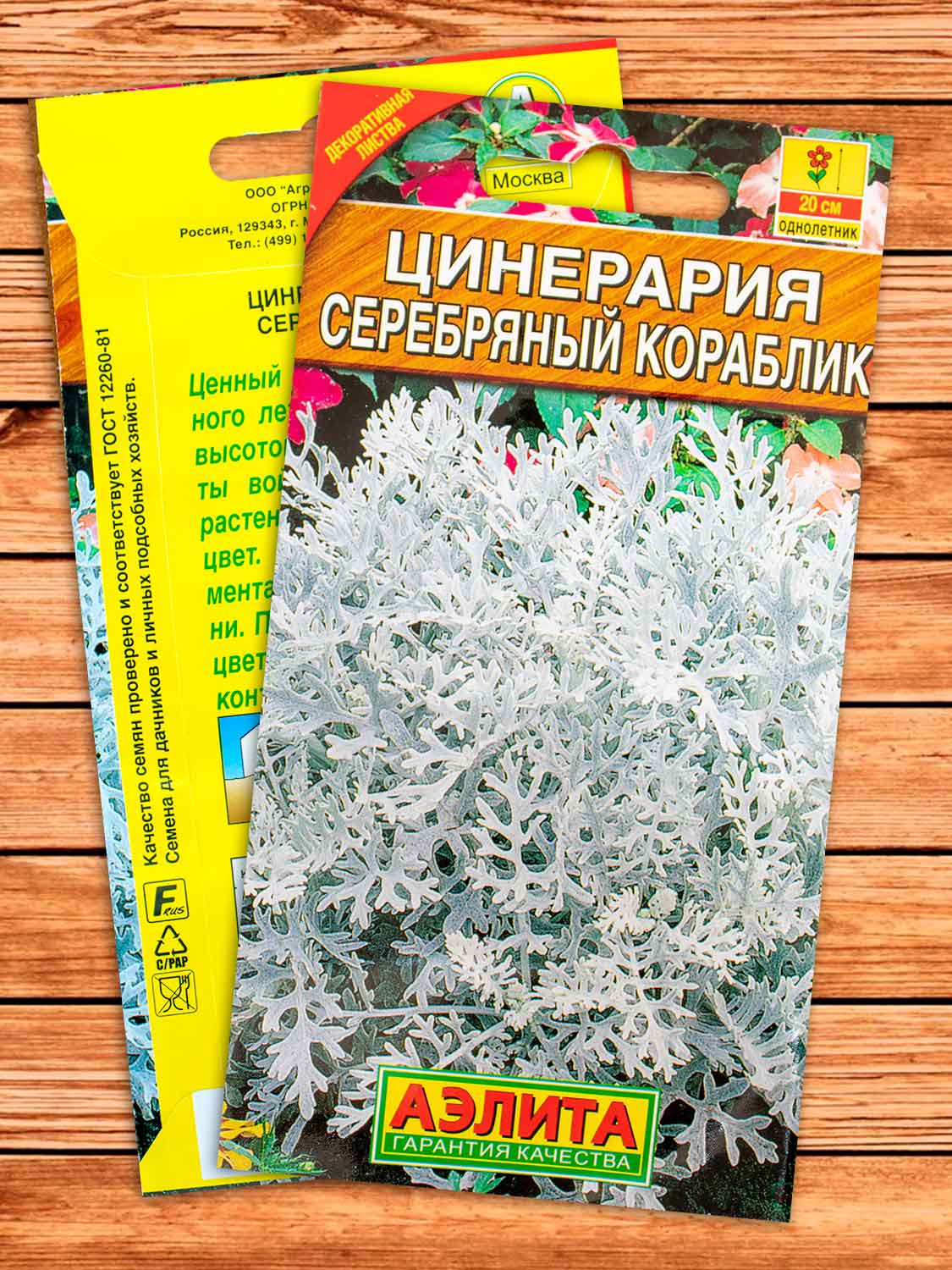 Цинерария Серебряный Кораблик 0,1 гр.