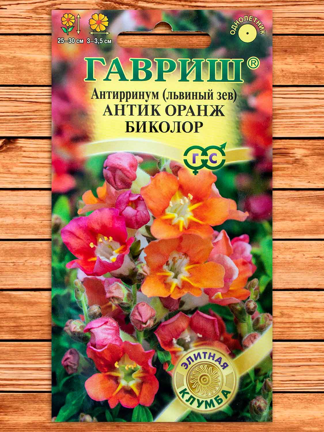 Антирринум (Львиный зев) Антик Оранж биколор 7 шт. серия Элитная клумба