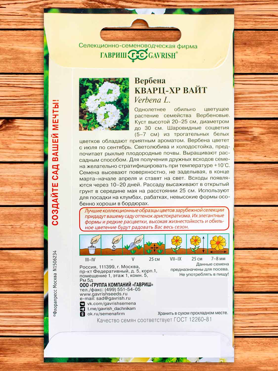 Вербена Кварц ХР Вайт, гибридная 4 шт. серия Элитная клумба
