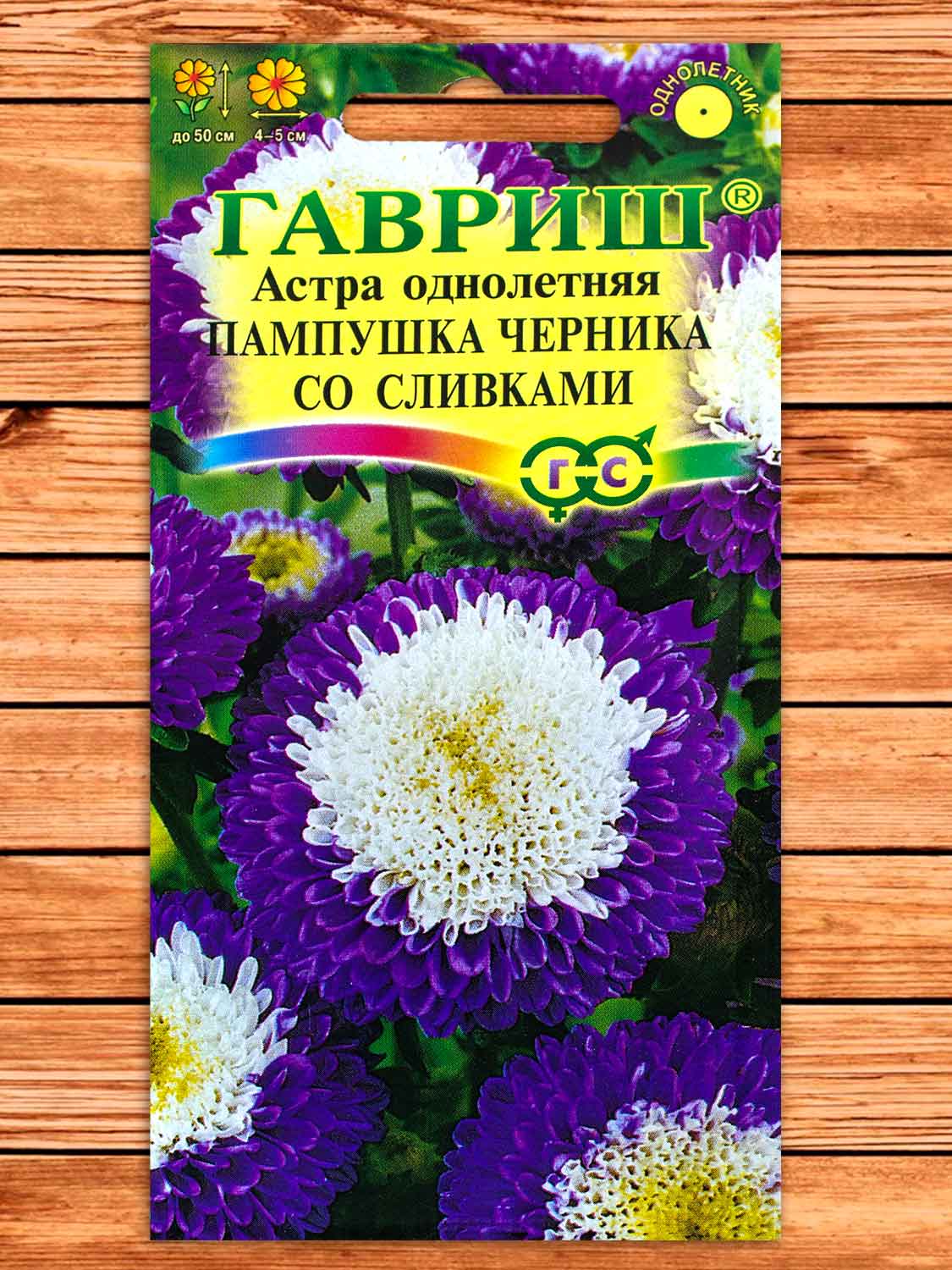 Астра Пампушка Черника со сливками, помпонная 0,3 гр.