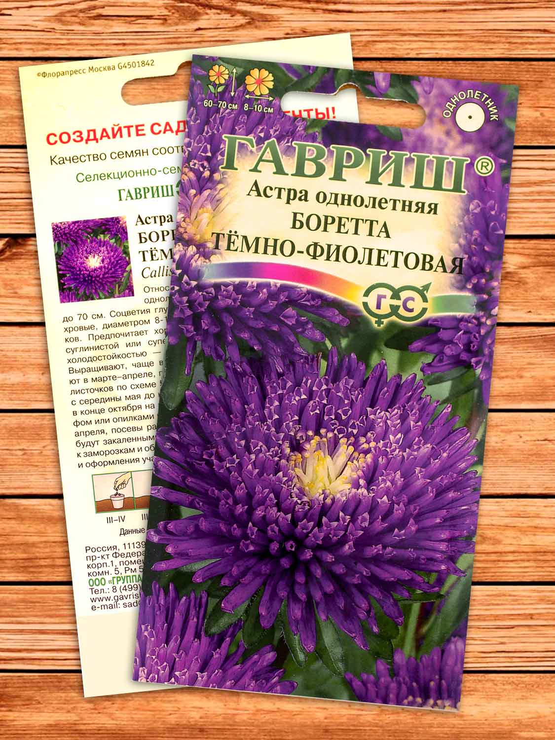 Астра Боретта Темно-фиолетовая 0,3 гр. принцесса