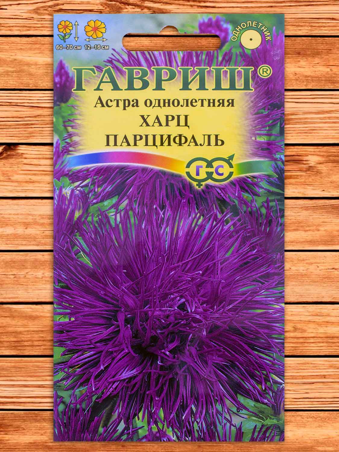 Астра Харц Парцифаль, тонкоигольчатая темно-фиолетовая 0,3 гр.