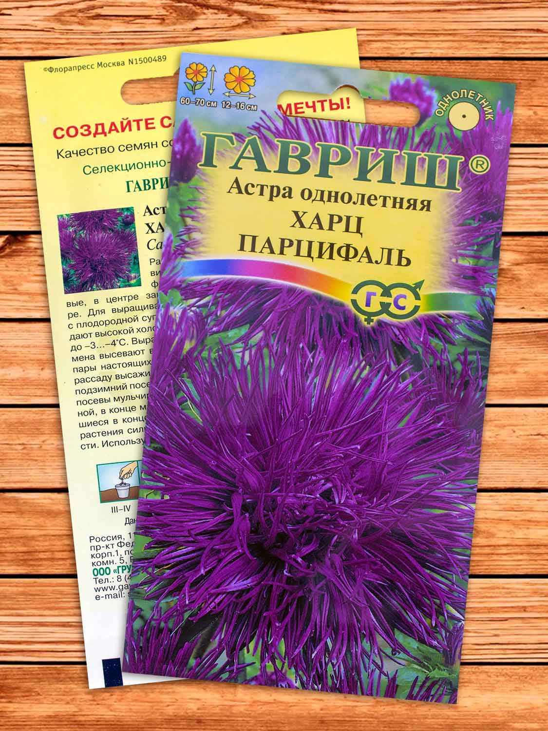 Астра Харц Парцифаль, тонкоигольчатая темно-фиолетовая 0,3 гр.