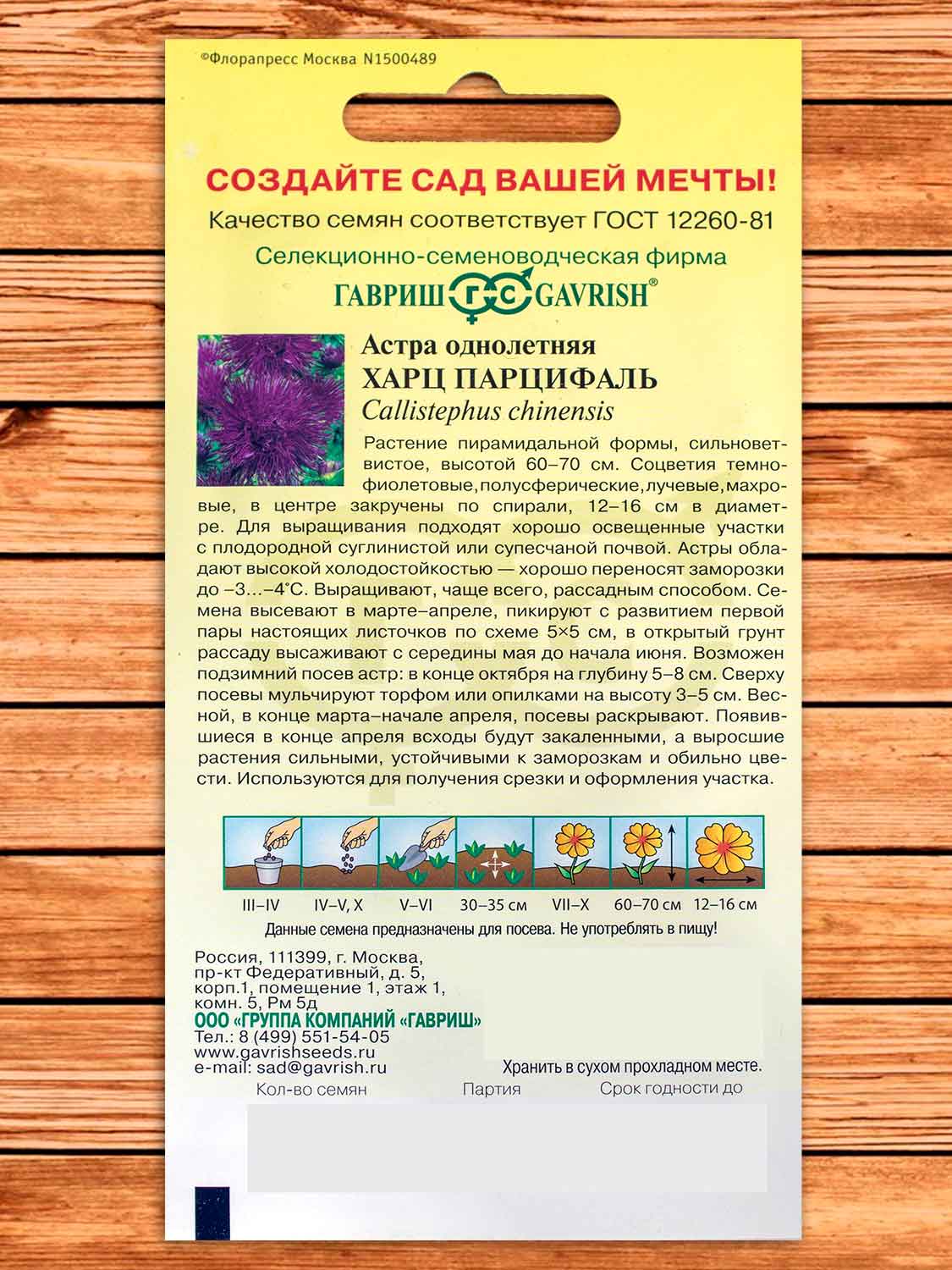 Астра Харц Парцифаль, тонкоигольчатая темно-фиолетовая 0,3 гр.