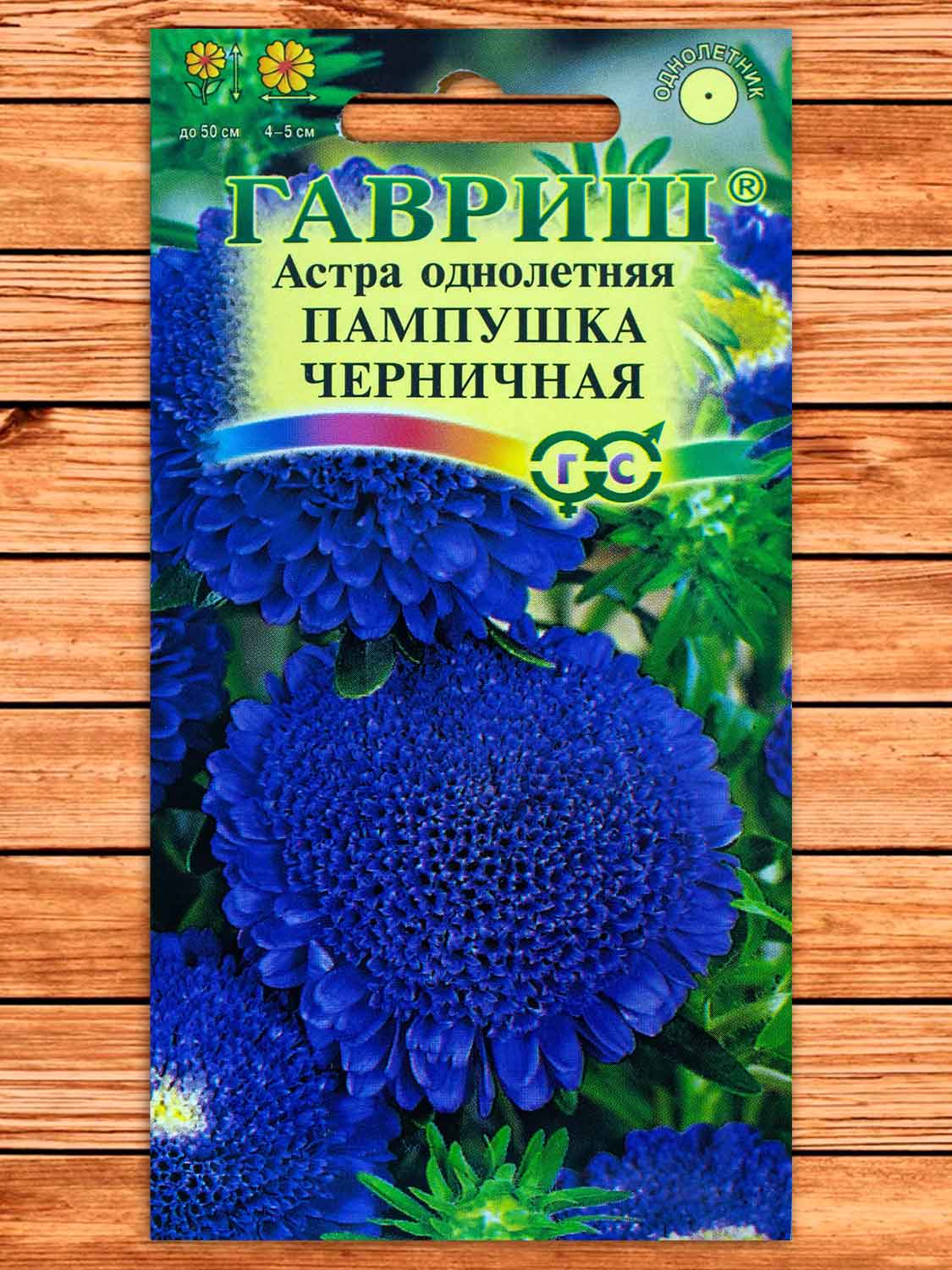 Астра Пампушка Черничная, помпонная 0,3 гр.