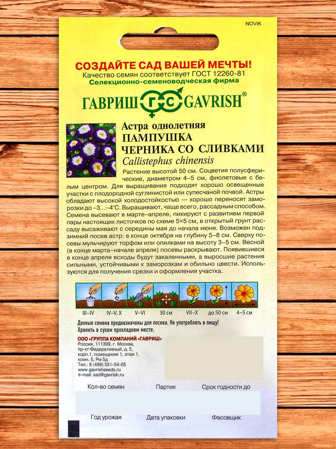 Астра Пампушка Черника со сливками, помпонная 0,3 гр.