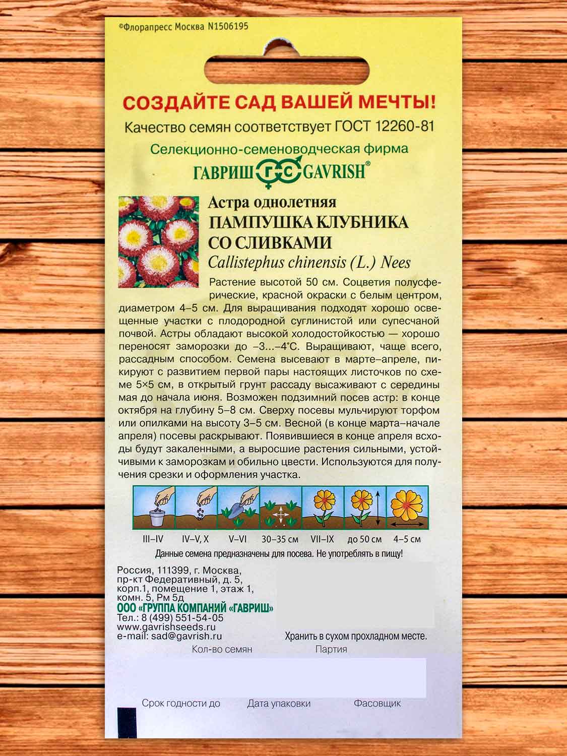 Астра Пампушка Клубника со сливками, помпонная 0,3 гр.