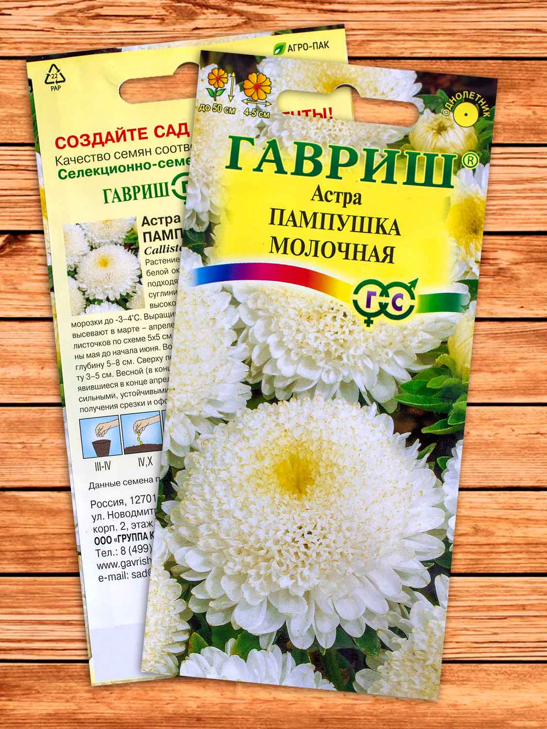 Астра Пампушка Молочная, помпонная 0,3 гр.