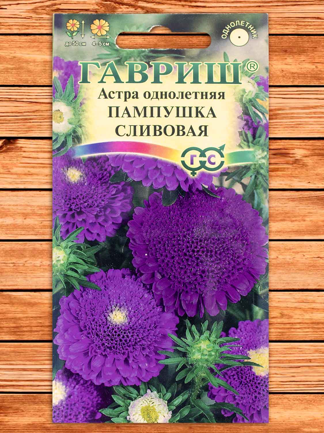 Астра Пампушка Сливовая, помпонная 0,3 гр.