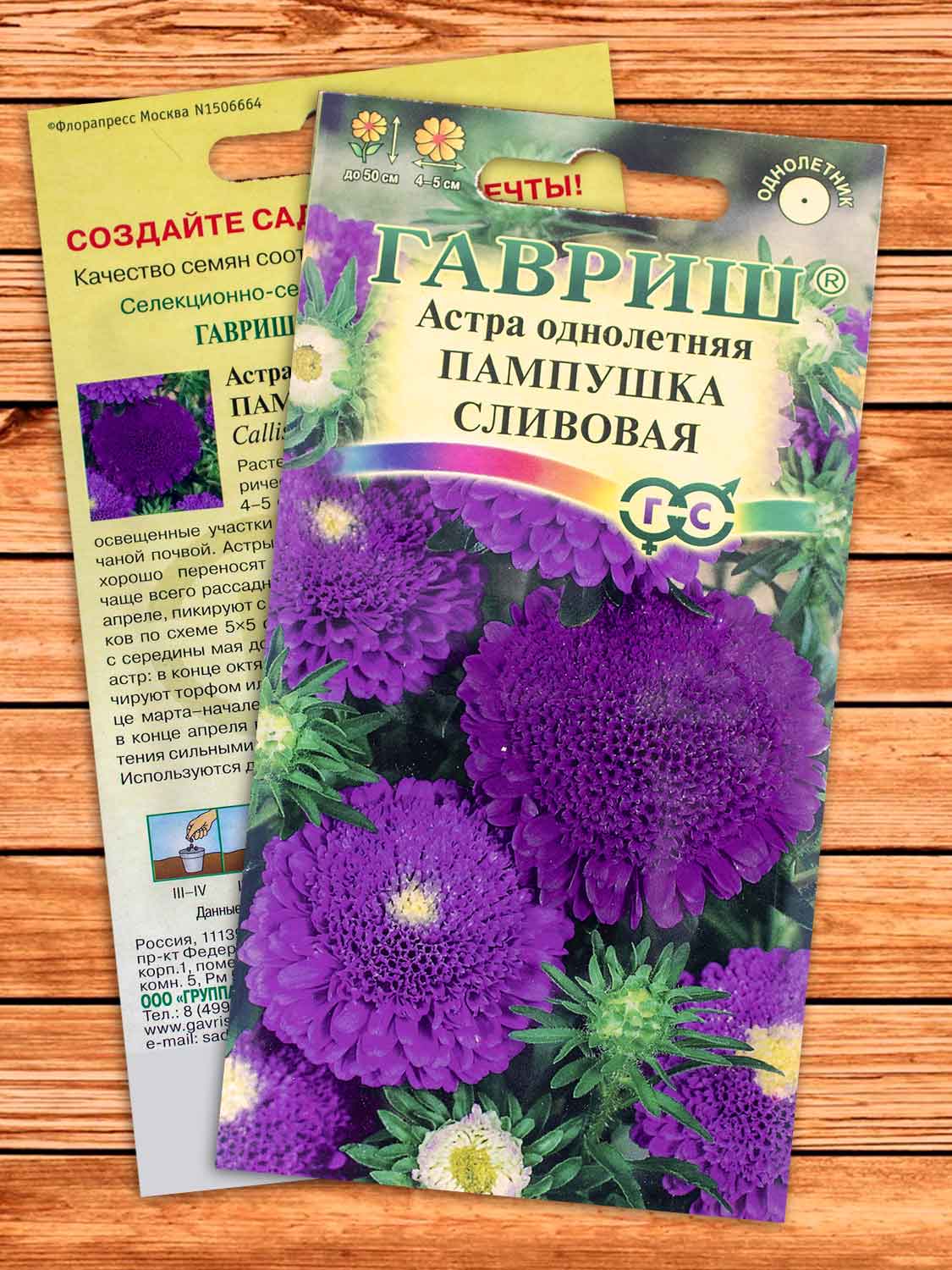 Астра Пампушка Сливовая, помпонная 0,3 гр.