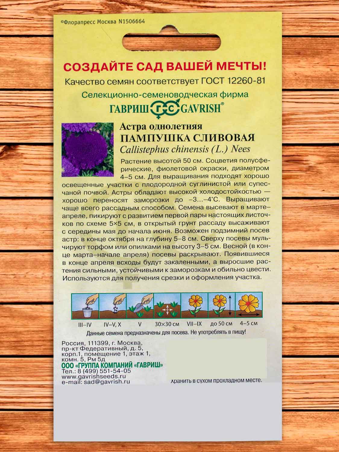 Астра Пампушка Сливовая, помпонная 0,3 гр.