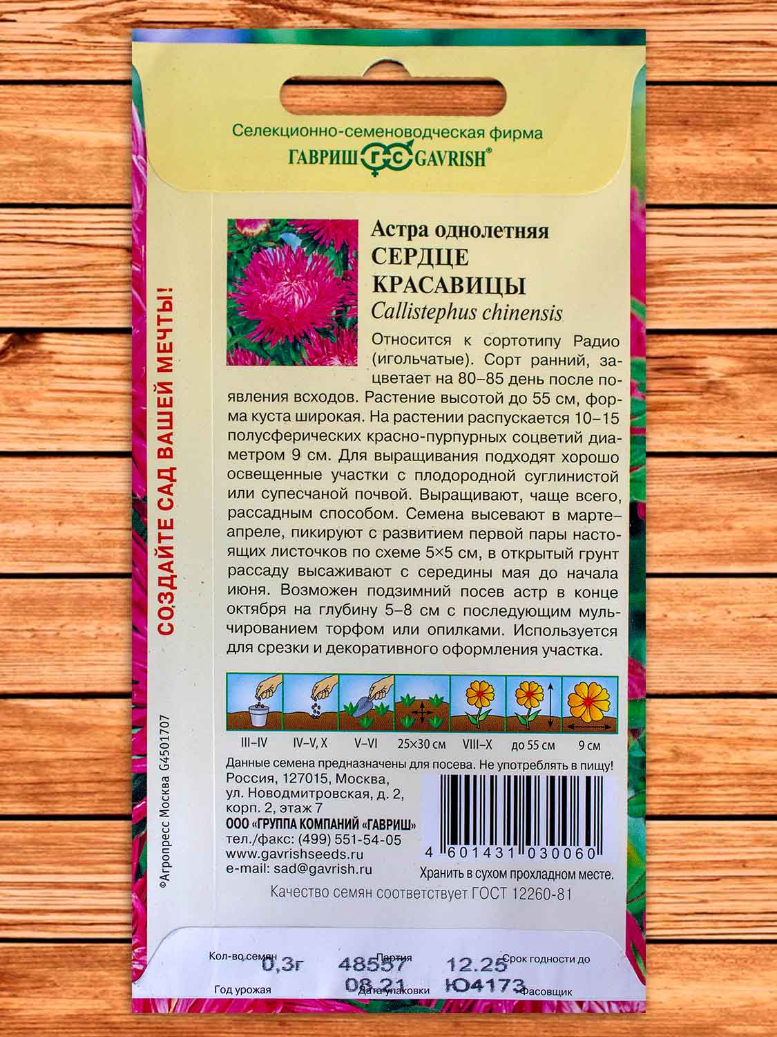 Астра Сердце Красавицы, красно-пурпурная игольчатая  0,3 гр.