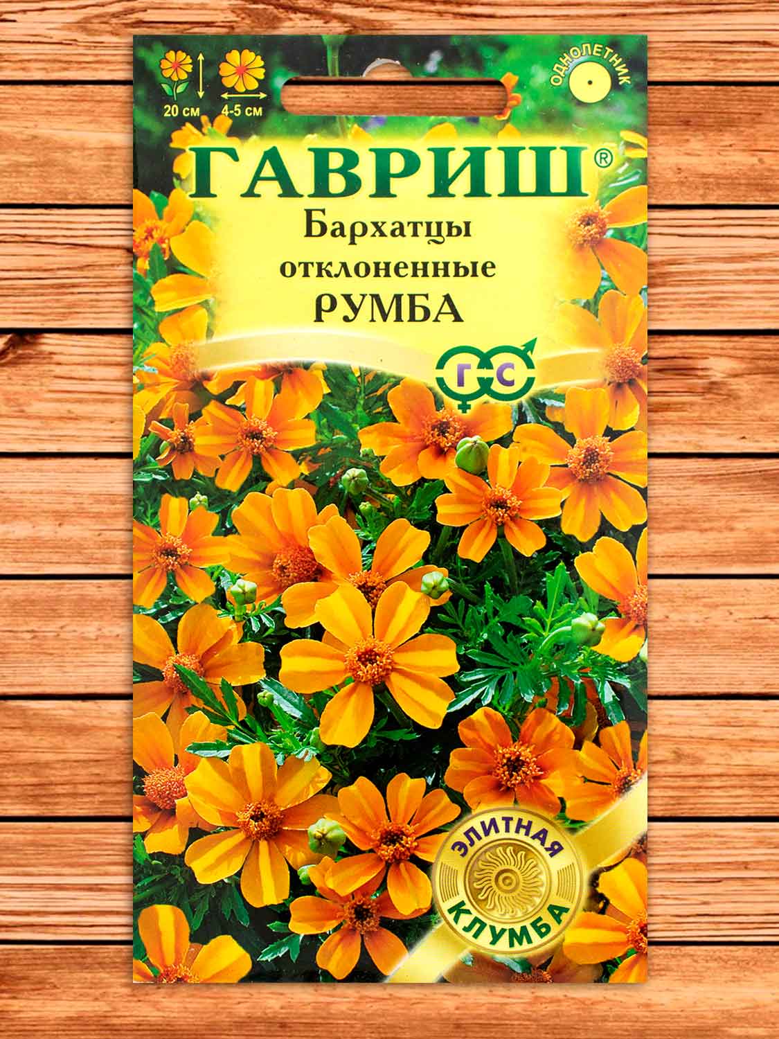 Бархатцы (Тагетес) Румба, отклоненные 10 шт.