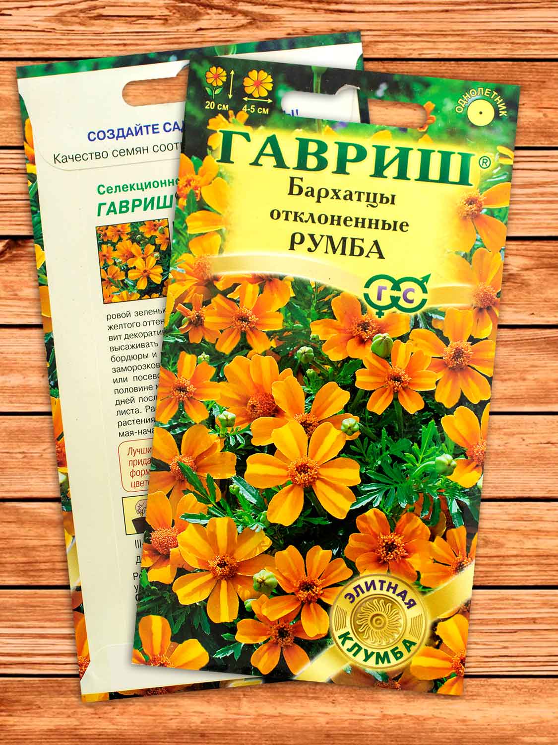 Бархатцы (Тагетес) Румба, отклоненные 10 шт.