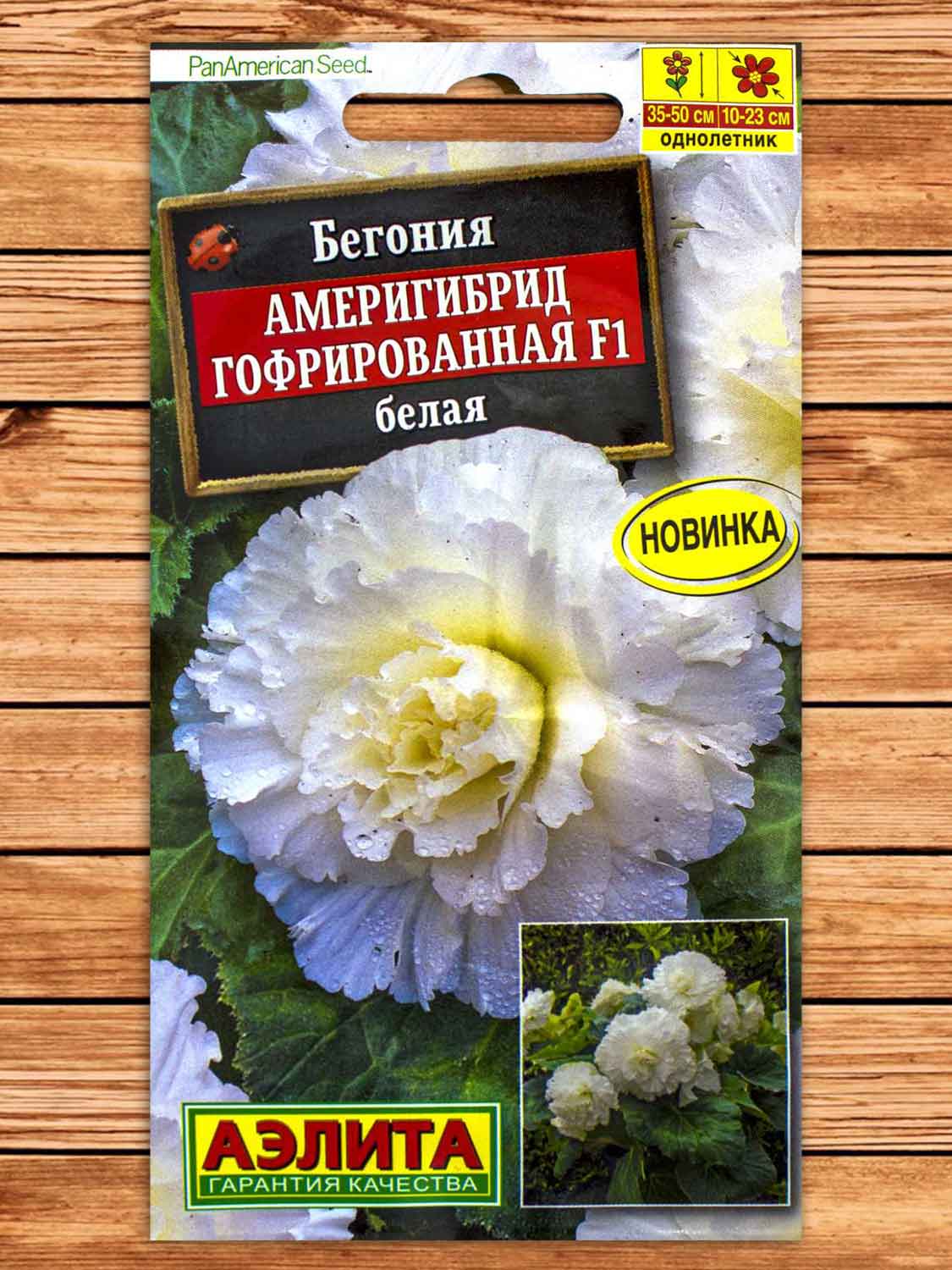 Бегония Америгибрид Гофрированная F1 белая  5 шт.