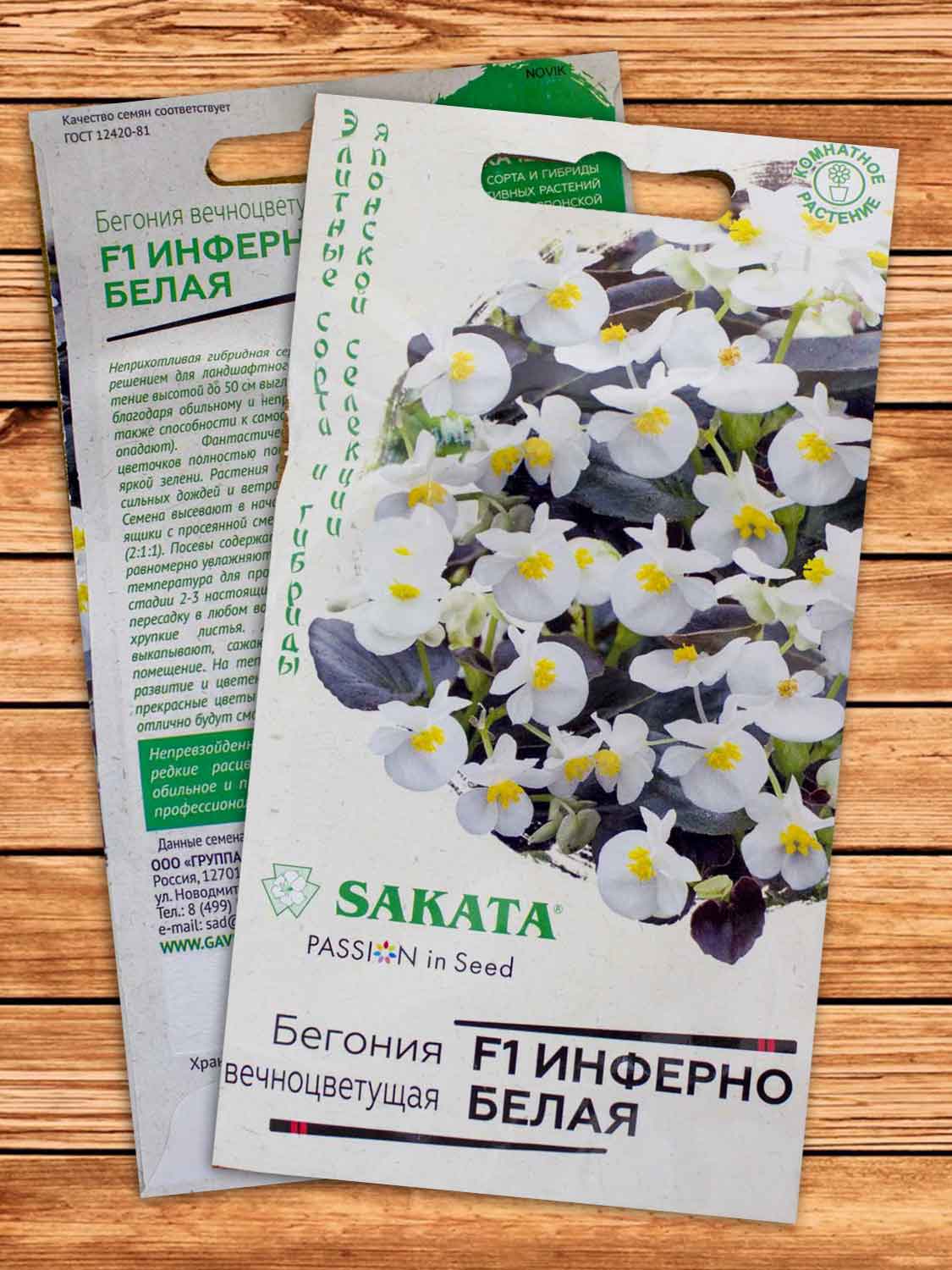 Бегония Инферно белая F1 4 шт. серия Саката