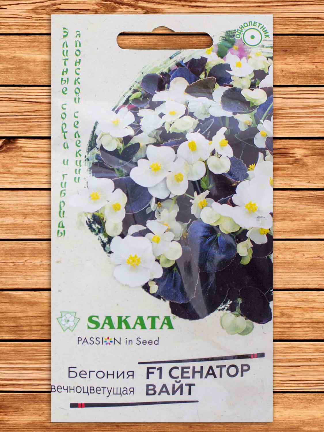 Бегония Сенатор Вайт F1 вечноцветущая 5 шт. серия Элитная клумба