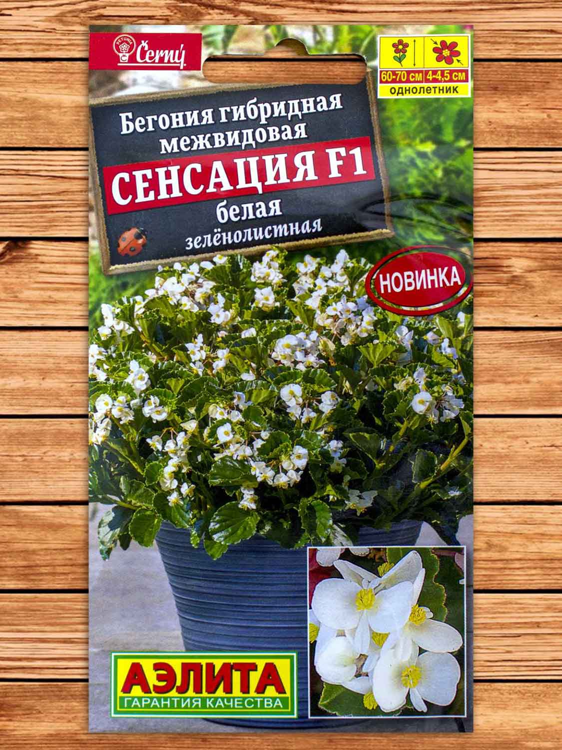 Бегония Сенсация F1 белая зеленолистная 5 шт.