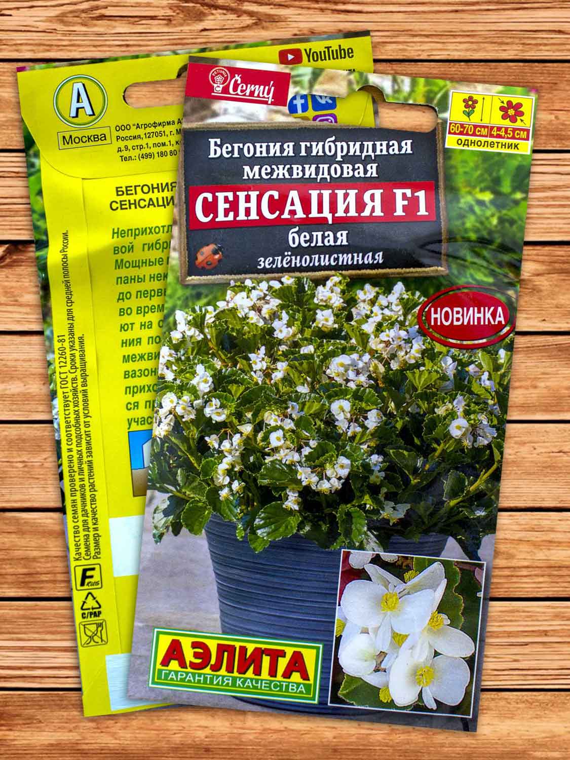 Бегония Сенсация F1 белая зеленолистная 5 шт.