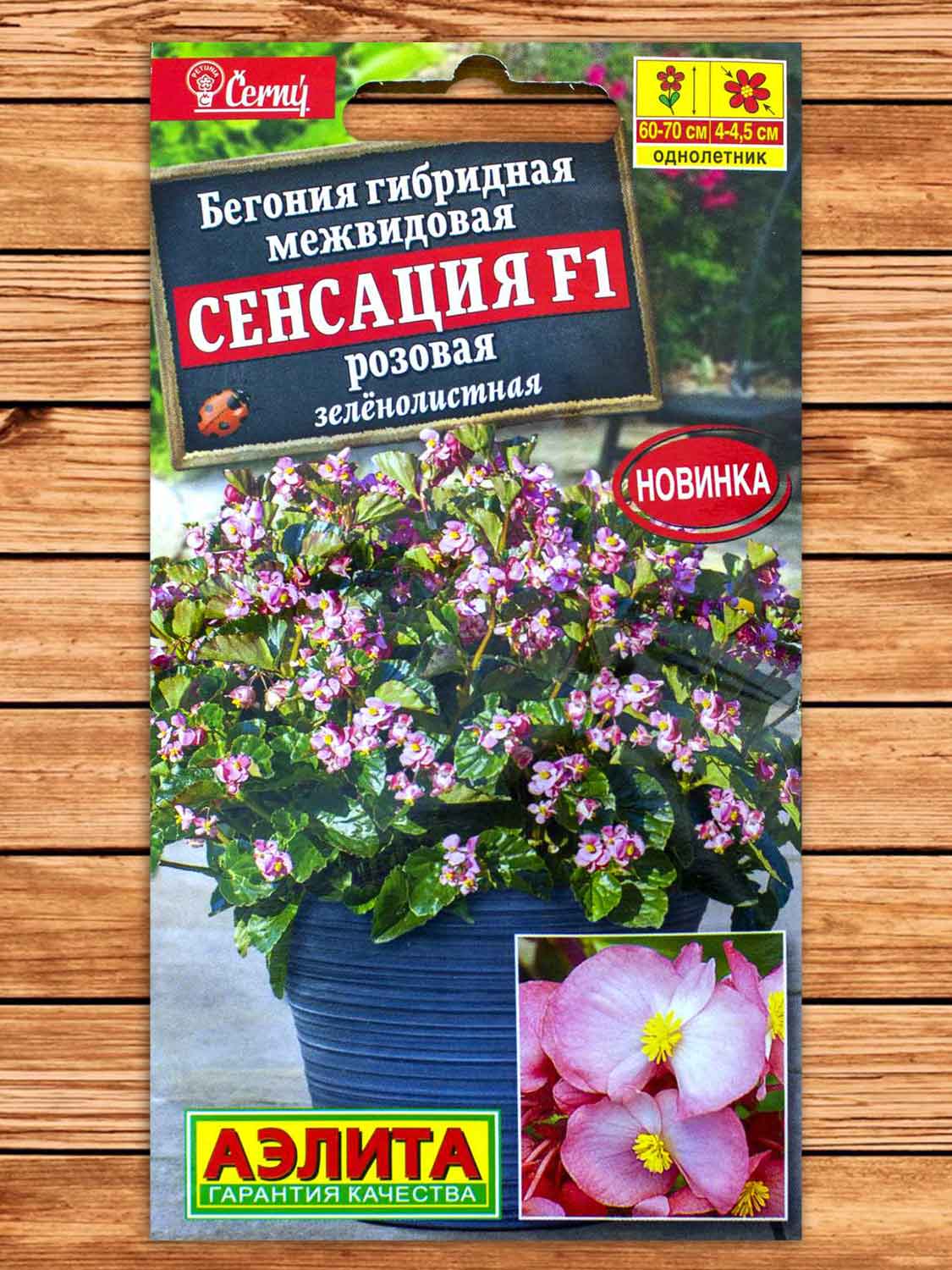 Бегония Сенсация F1 розовая зеленолистная 5 шт.