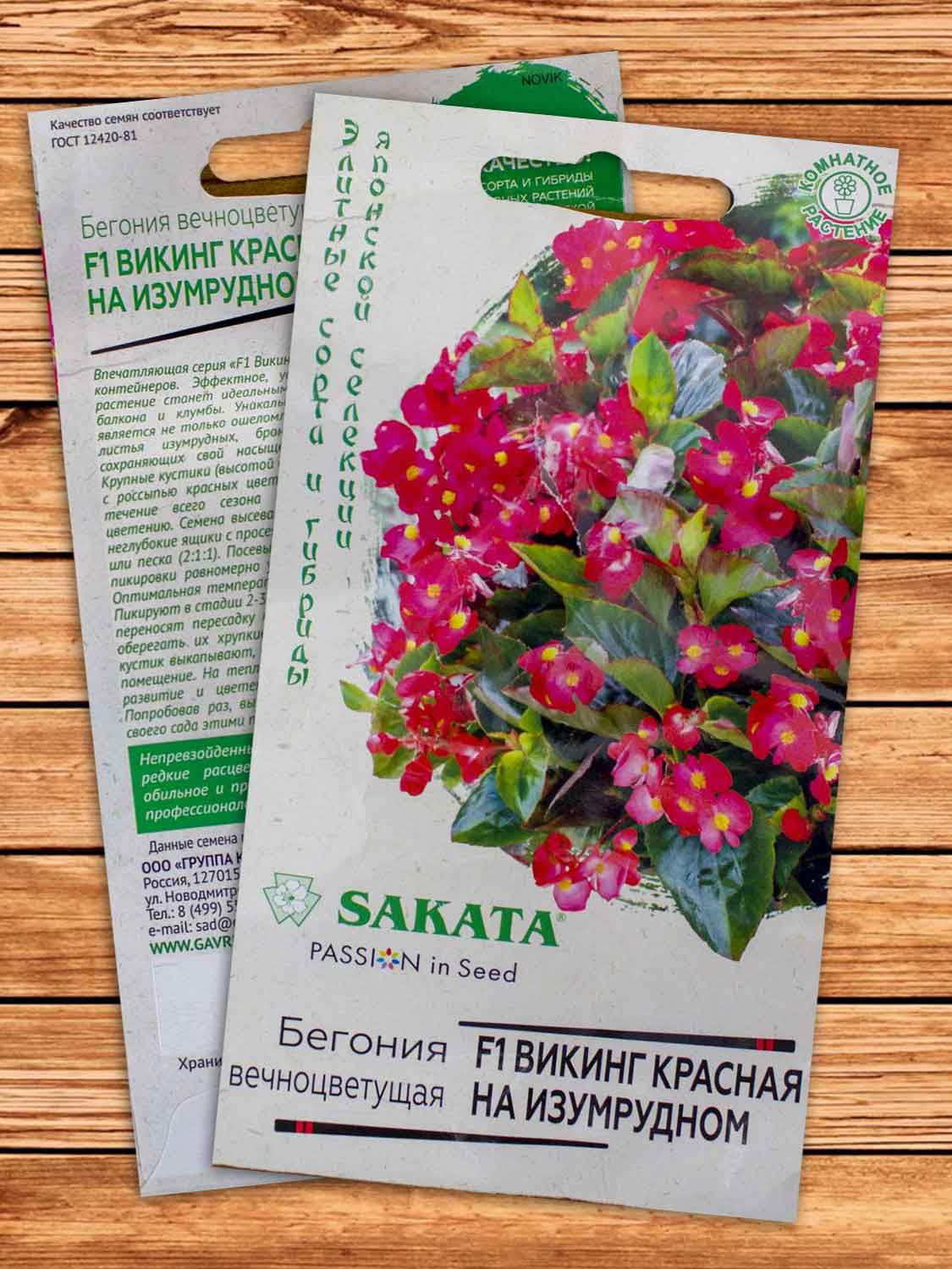 Бегония Викинг красная на изумрудном F1 4 шт. серия Саката