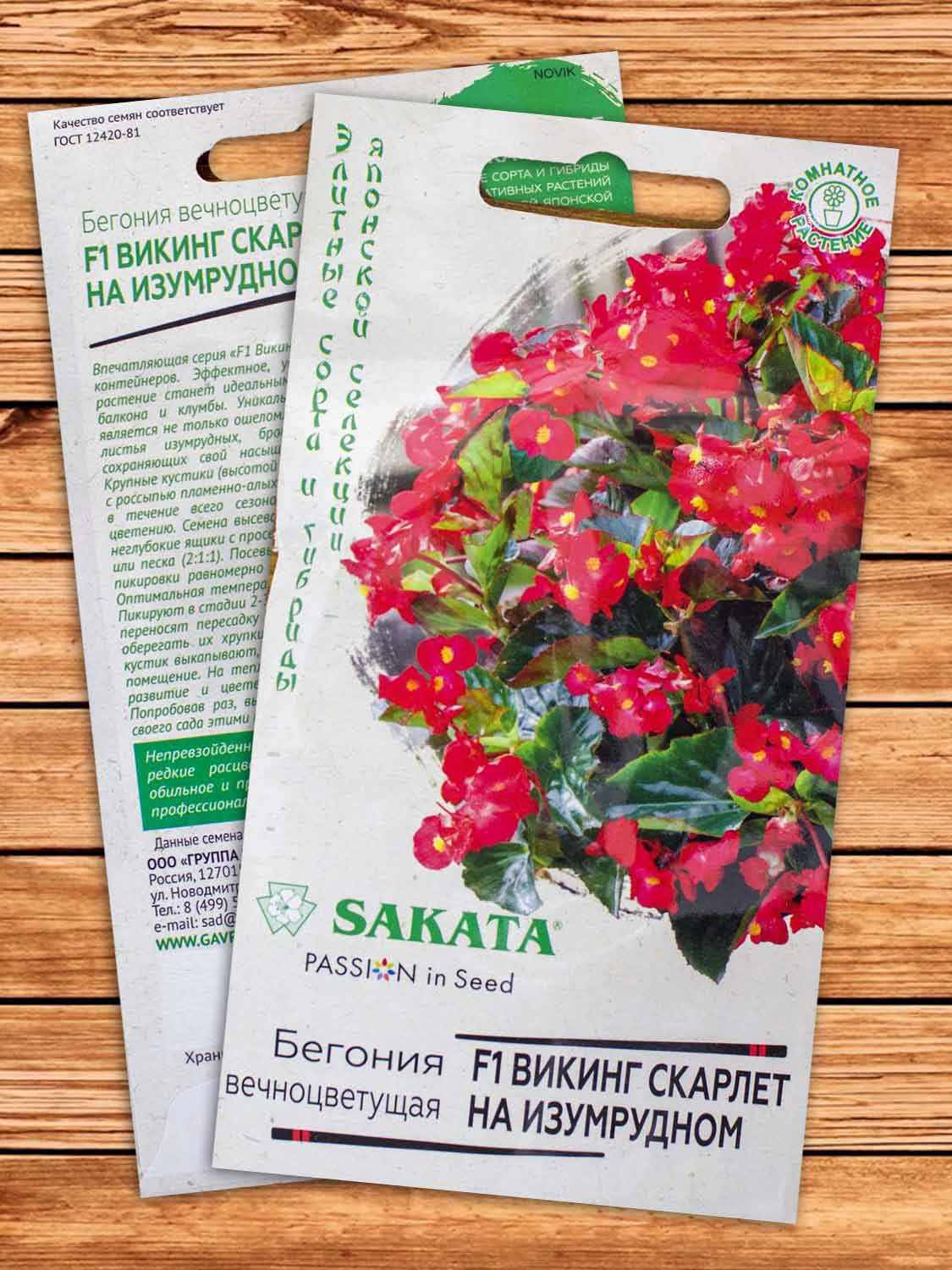 Бегония Викинг Скарлет на изумрудном F1 4 шт. серия Саката