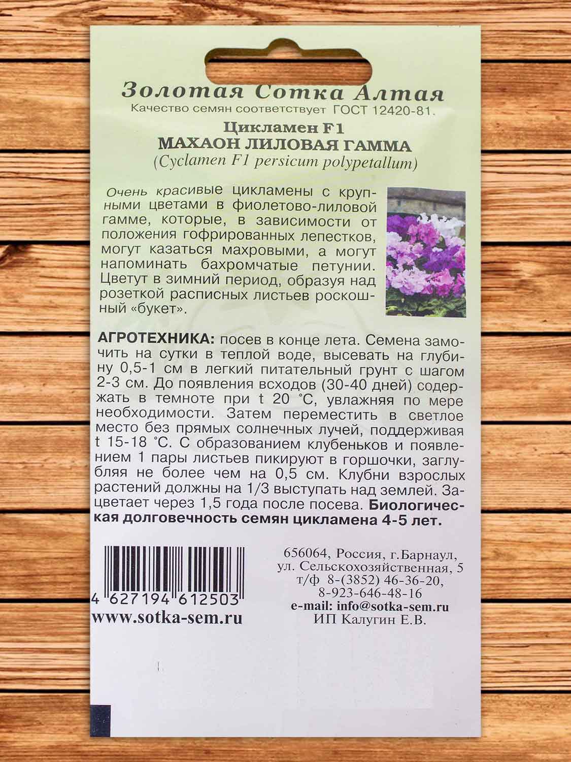 Цикламен Махаон Лиловая Гамма 3 шт.