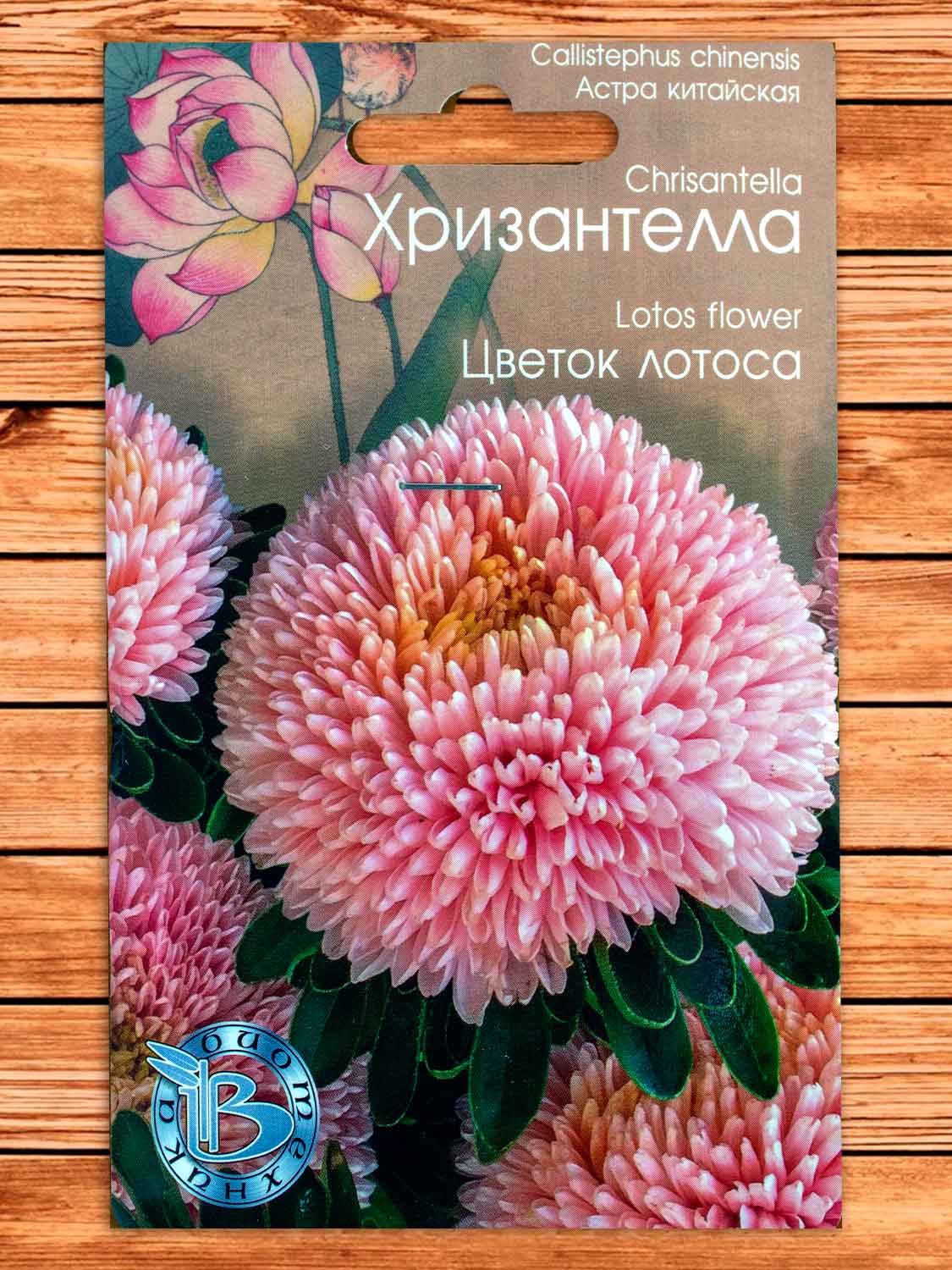 Хризантелла Цветок Лотоса 30 шт.