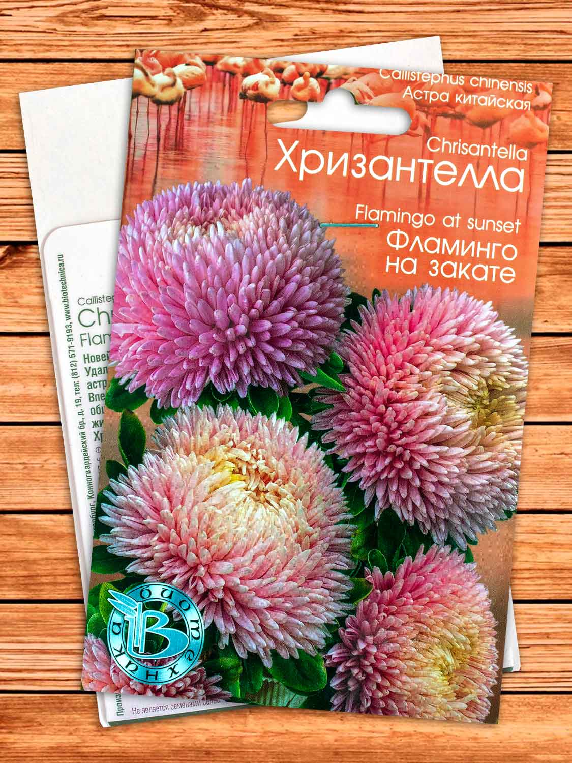 Хризантелла Фламинго на Закате 30 шт.
