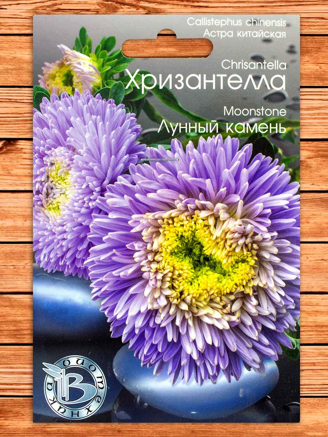 Хризантелла Лунный Камень 30 шт.
