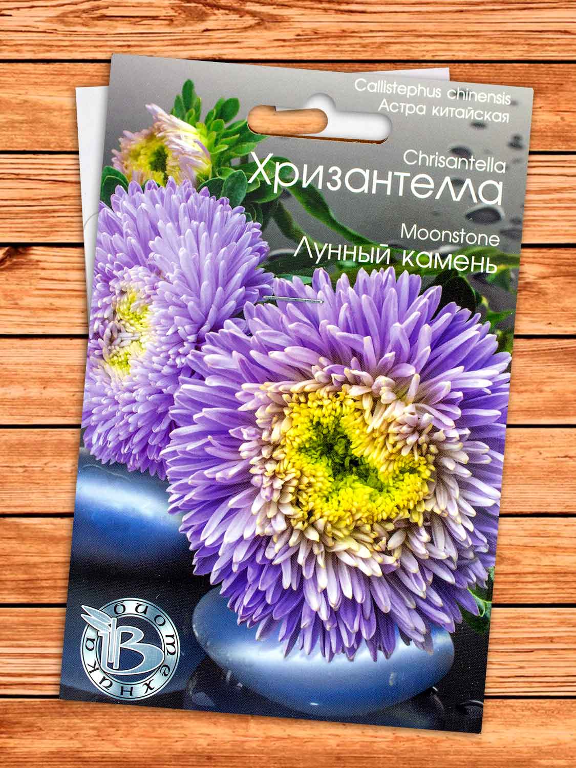 Хризантелла Лунный Камень 30 шт.